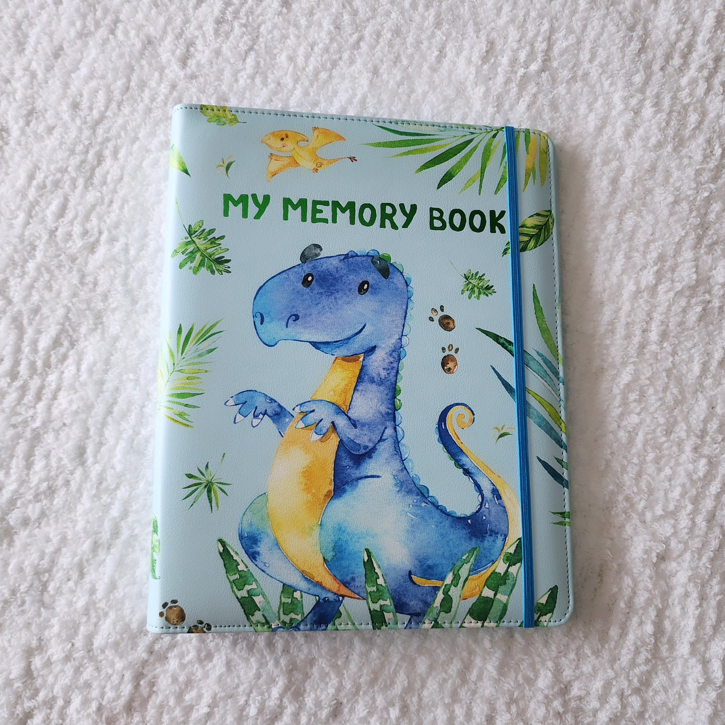 Dinosaur Memory Book