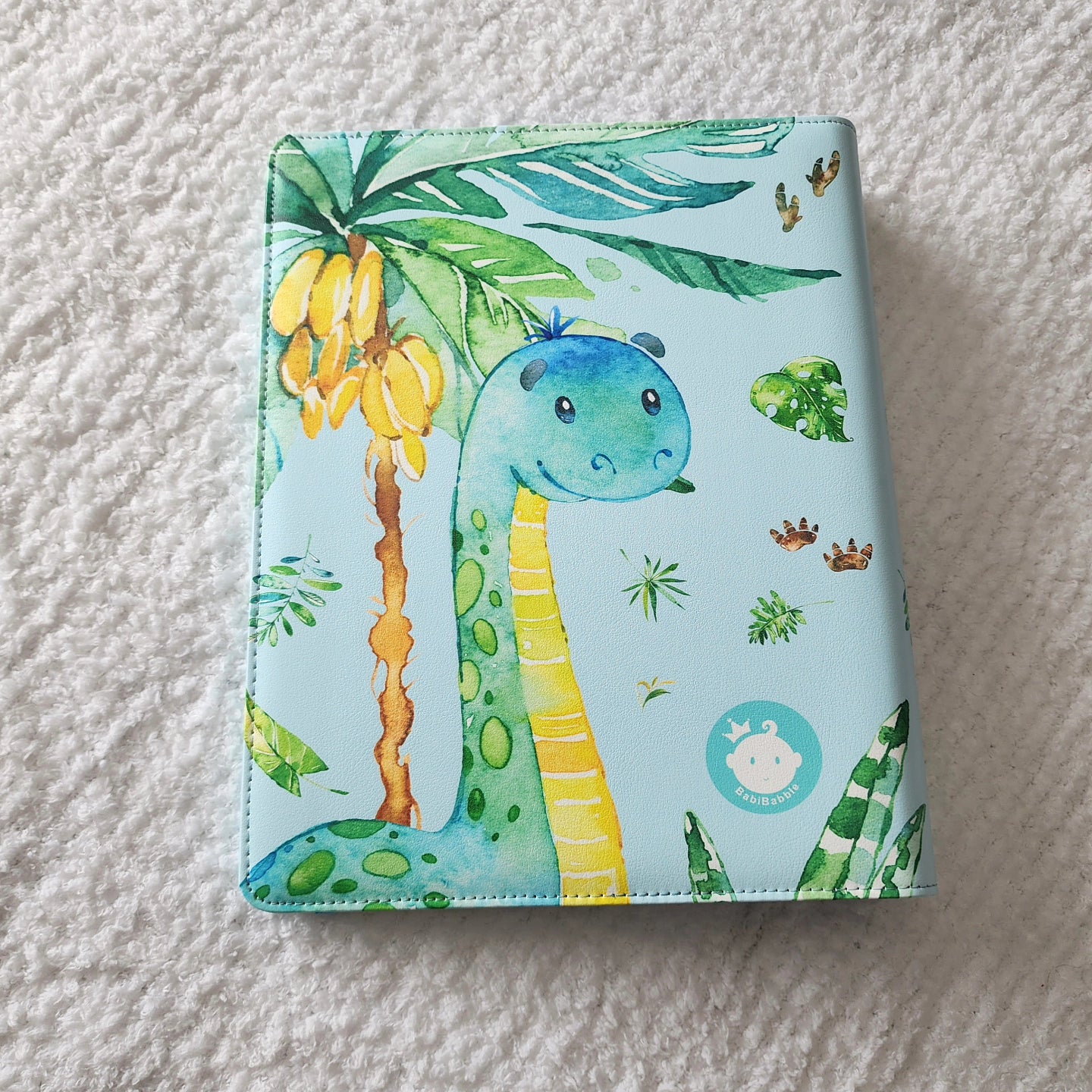 Dinosaur Memory Book