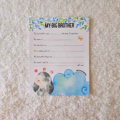 My Big Brother Add-on