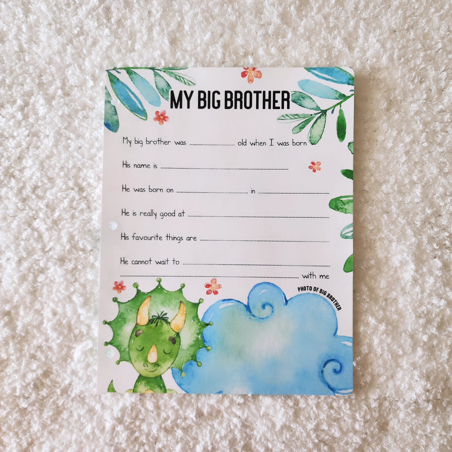 My Big Brother Add-on