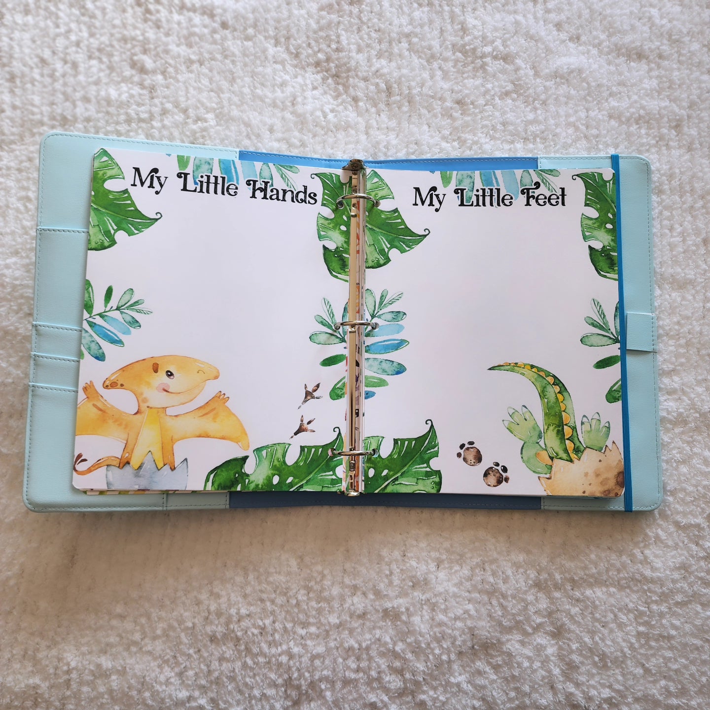 Dinosaur Memory Book