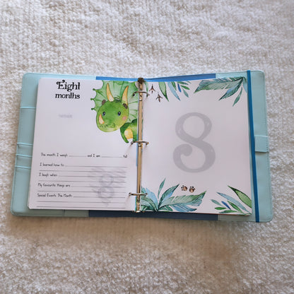 Dinosaur Memory Book